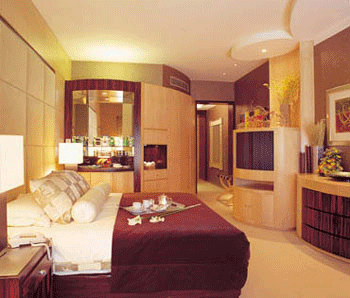 什么酒店有总统套房 11633852233.gif